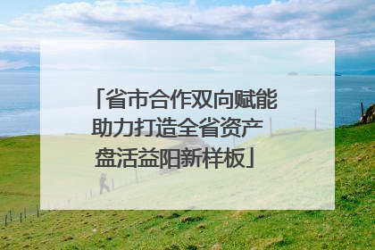 省市合作双向赋能 助力打造全省资产盘活益阳新样板
