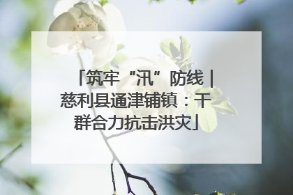 筑牢“汛”防线｜慈利县通津铺镇：干群合力抗击洪灾