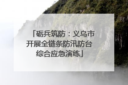 砺兵筑防：义乌市开展全链条防汛防台综合应急演练