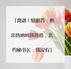 离谱！特朗普：他亲热地叫我爸爸，北约秘书长：我没有