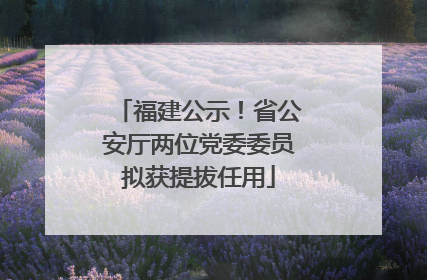 福建公示！省公安厅两位党委委员拟获提拔任用