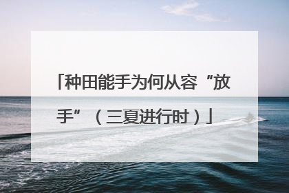 种田能手为何从容“放手”（三夏进行时）
