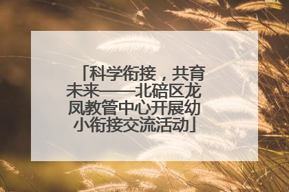 科学衔接，共育未来——北碚区龙凤教管中心开展幼小衔接交流活动