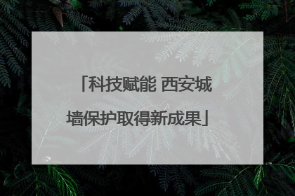 科技赋能 西安城墙保护取得新成果