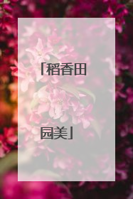 稻香田园美