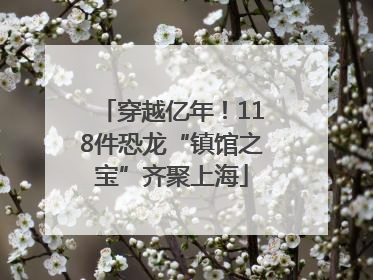 穿越亿年！118件恐龙“镇馆之宝”齐聚上海