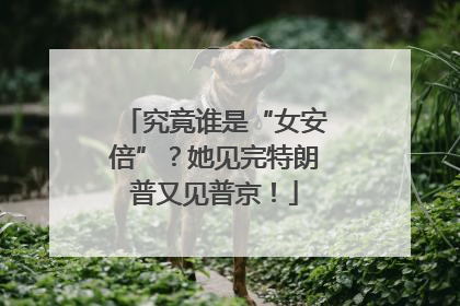 究竟谁是“女安倍”？她见完特朗普又见普京！