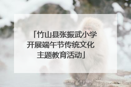 竹山县张振武小学开展端午节传统文化主题教育活动