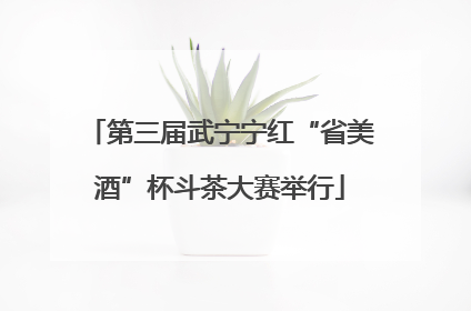 第三届武宁宁红“省美酒”杯斗茶大赛举行