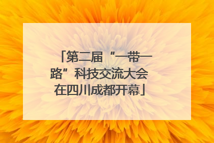 第二届“一带一路”科技交流大会在四川成都开幕