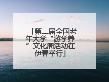 第二届全国老年大学“游学养”文化周活动在伊春举行