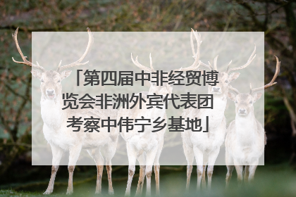 第四届中非经贸博览会非洲外宾代表团考察中伟宁乡基地