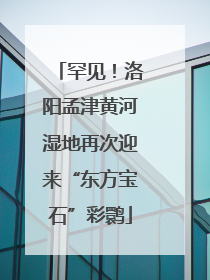 罕见！洛阳孟津黄河湿地再次迎来“东方宝石”彩鹮