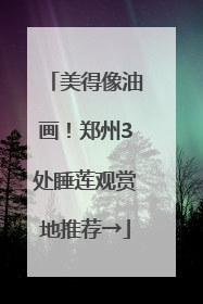 美得像油画！郑州3处睡莲观赏地推荐→