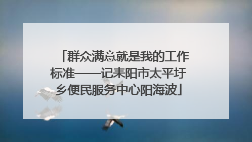 群众满意就是我的工作标准——记耒阳市太平圩乡便民服务中心阳海波