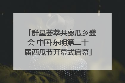 群星荟萃共襄瓜乡盛会 中国·东明第二十届西瓜节开幕式启幕