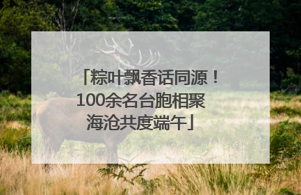粽叶飘香话同源！100余名台胞相聚海沧共度端午
