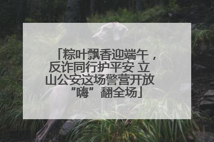 粽叶飘香迎端午，反诈同行护平安 立山公安这场警营开放“嗨”翻全场