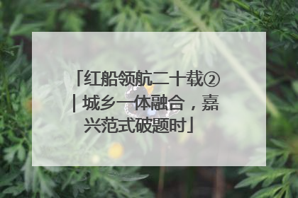 红船领航二十载②｜城乡一体融合，嘉兴范式破题时