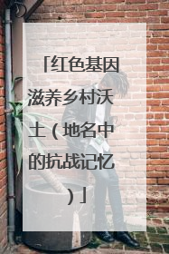 红色基因滋养乡村沃土（地名中的抗战记忆）