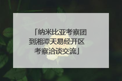 纳米比亚考察团到湘潭天易经开区考察洽谈交流