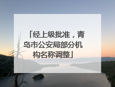 经上级批准，青岛市公安局部分机构名称调整