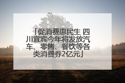 促消费惠民生 四川宜宾今年将发放汽车、零售、餐饮等各类消费券2亿元