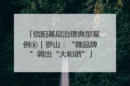 信阳基层治理典型案例⑧｜罗山：“微品牌”调出“大和谐”