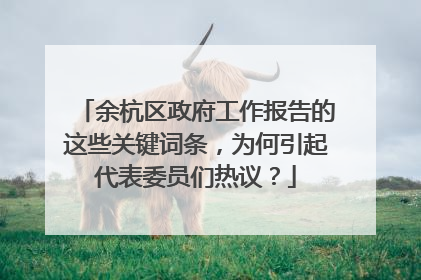 余杭区政府工作报告的这些关键词条，为何引起代表委员们热议？