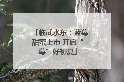 临武水东：蓝莓甜蜜上市 开启“莓”好初夏