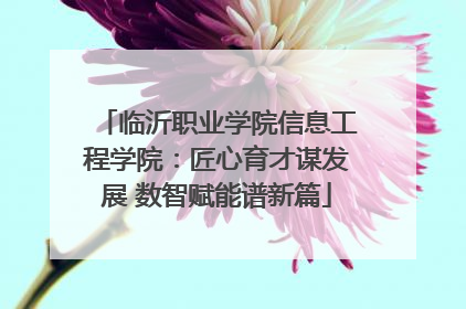 临沂职业学院信息工程学院：匠心育才谋发展 数智赋能谱新篇