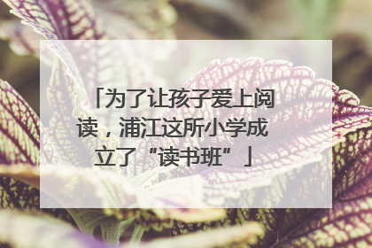 为了让孩子爱上阅读，浦江这所小学成立了“读书班”