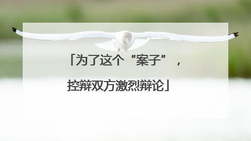 为了这个“案子”，控辩双方激烈辩论