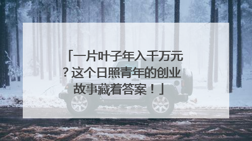 一片叶子年入千万元？这个日照青年的创业故事藏着答案！