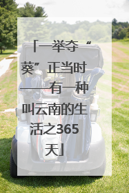 一举夺“葵”正当时——有一种叫云南的生活之365天