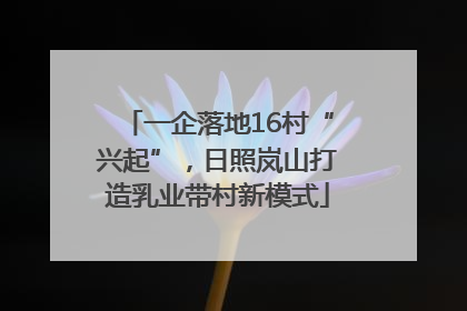 一企落地16村“兴起”，日照岚山打造乳业带村新模式
