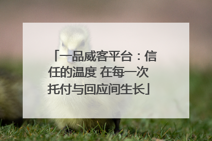 一品威客平台：信任的温度 在每一次托付与回应间生长