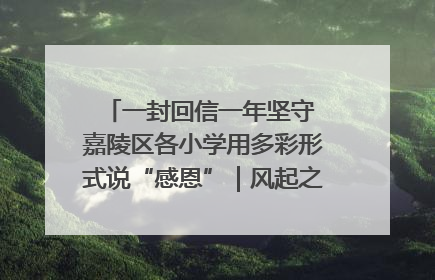 一封回信一年坚守 嘉陵区各小学用多彩形式说“感恩”｜风起之江 扶摇直上