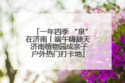 一年四季 “泉”在济南丨端午嗨翻天 济南植物园成亲子户外热门打卡地