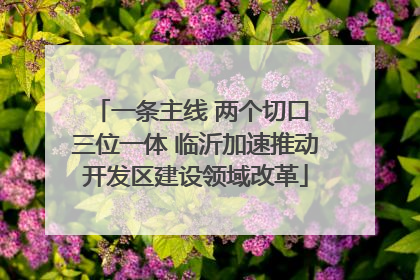 一条主线 两个切口 三位一体 临沂加速推动开发区建设领域改革