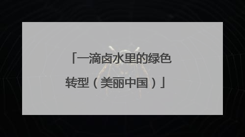 一滴卤水里的绿色转型（美丽中国）