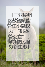 三亚崖州区数智赋能管住小微权力 “机器管公章”，构筑便民服务新生态