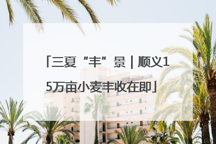 三夏“丰”景｜顺义15万亩小麦丰收在即