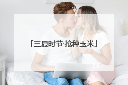 三夏时节·抢种玉米