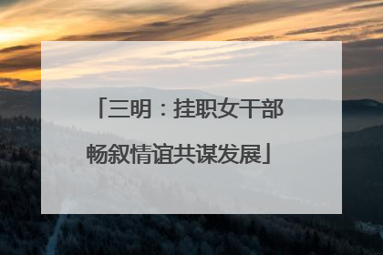 三明：挂职女干部畅叙情谊共谋发展
