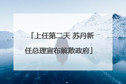 上任第二天 苏丹新任总理宣布解散政府