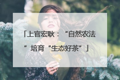 上官宏耿：“自然农法”培育“生态好茶”