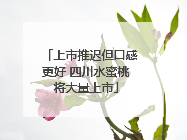 上市推迟但口感更好 四川水蜜桃将大量上市