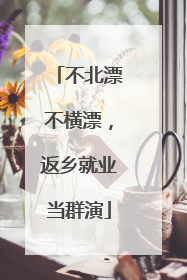 不北漂不横漂，返乡就业当群演