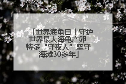 世界海龟日丨守护世界最大海龟产卵 特多“守夜人”坚守海滩30多年